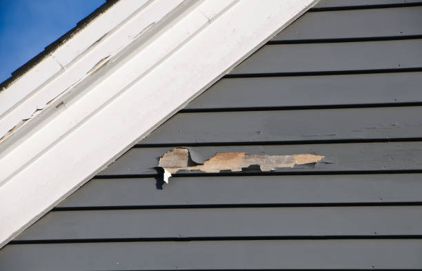 Best Construction Debris Removal  in Burlingame, CA